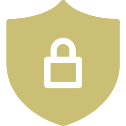Undressing AI - Privacy & Security Icon